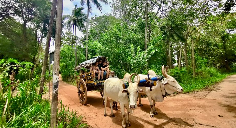 Sigiriya village tour Sigiriya village tour